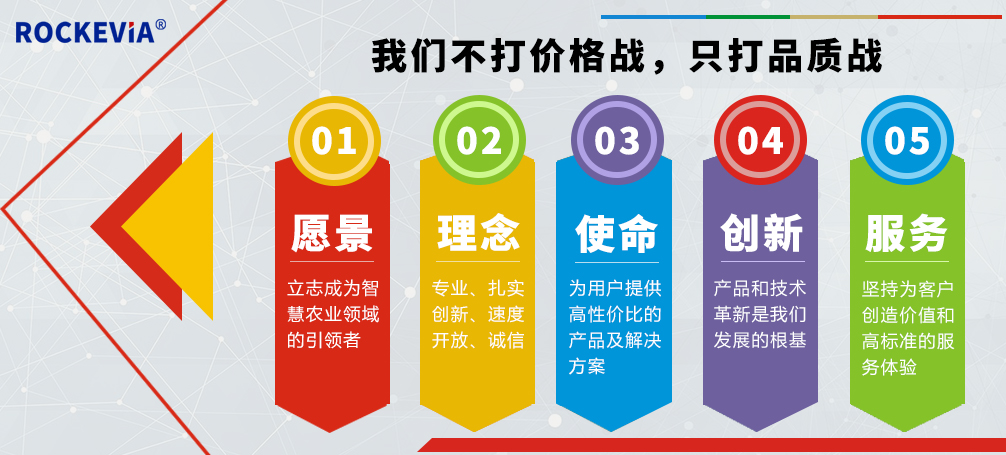 企业文化